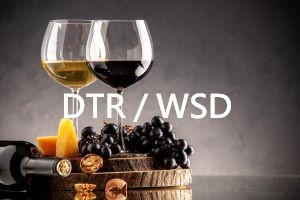 WSD-DTR